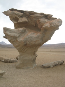 Arbol de piedra (Stone Tree)
