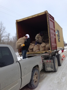 Unloading in Manitoba, two months later